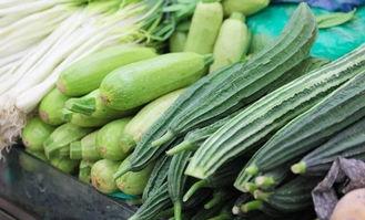 广州安琪儿吃瓜,揭秘母婴行业的“瓜田”风云