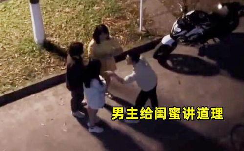 成都邻居吃瓜事件,邻里纠纷背后的社区和谐挑战