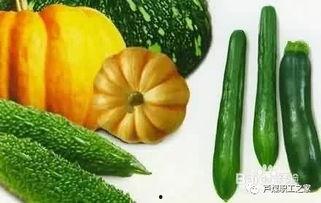 过滤吃的瓜叫什么瓜,揭秘过滤后美味无比的“过滤瓜”