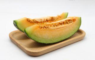 吃田螺可以吃哈密瓜,探寻美食界的奇妙组合