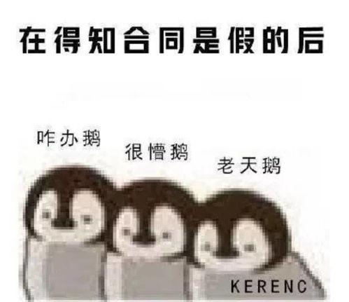 自嘲吃瓜文案短句,笑谈人间百态