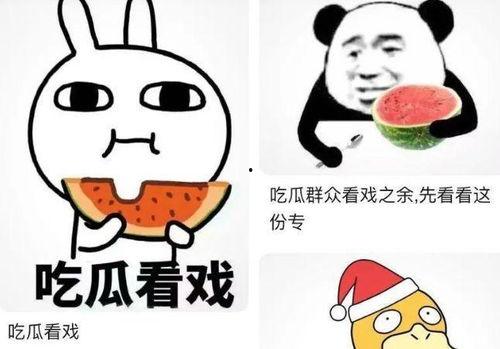 咸鱼她吃瓜看戏结局,一场逆袭的奇幻之旅