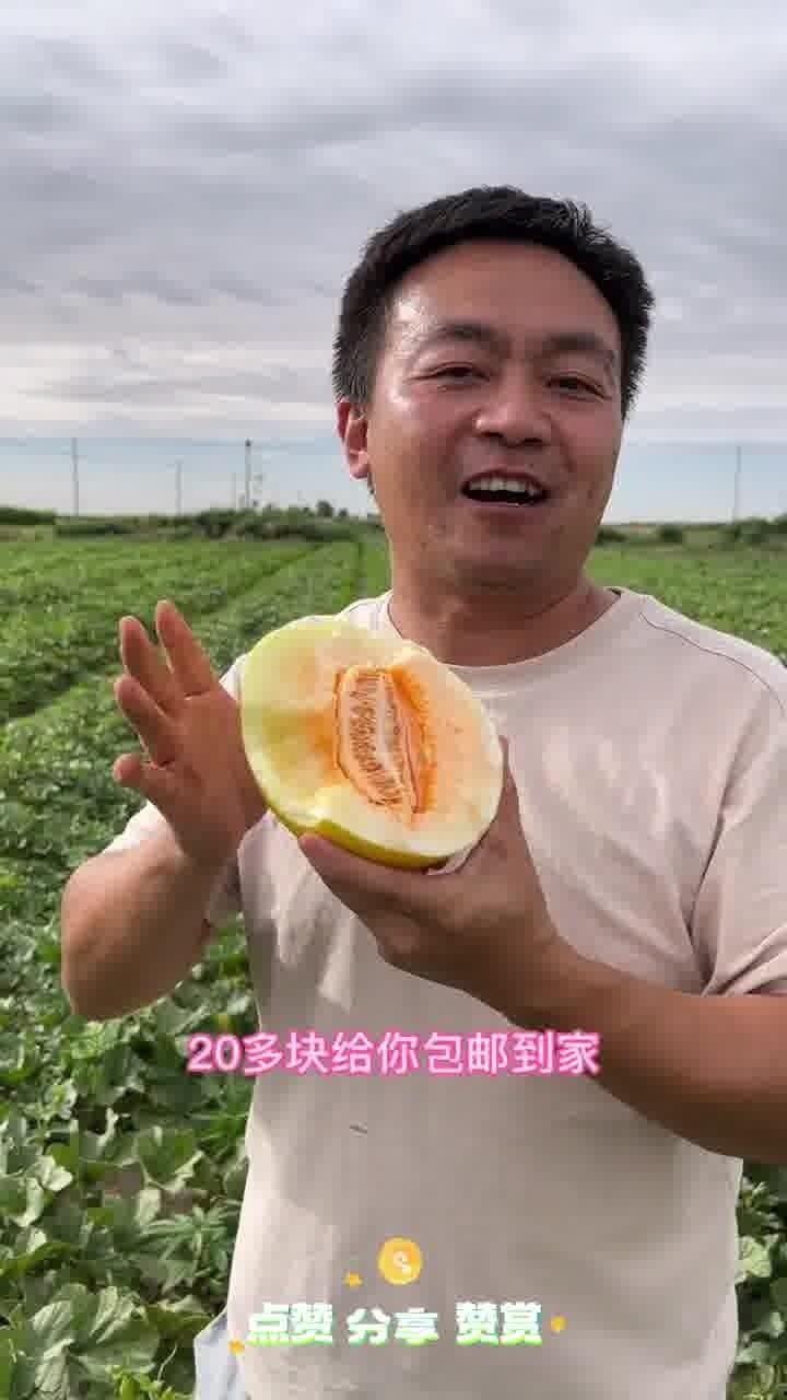 吃民勤蜜瓜直播,甜蜜滋味，直播带你一网打尽