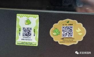 吃瓜贴贴,揭秘吃瓜群众的欢乐盛宴