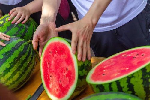 健康学院吃瓜,揭秘校园生活点滴