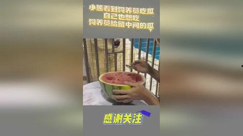 吃瓜小熊警惕,揭秘网络谣言背后的真相