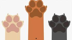 吃瓜德文,揭秘德语世界中的美食文化