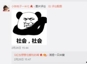 带你吃瓜带你吃饭,揭秘娱乐圈背后的故事与美食之旅