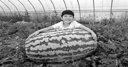 周子仡Leo吃瓜,吃瓜群众的美食之旅