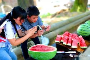 梦见从地里摘瓜吃,揭秘从地里摘瓜吃的神秘寓意